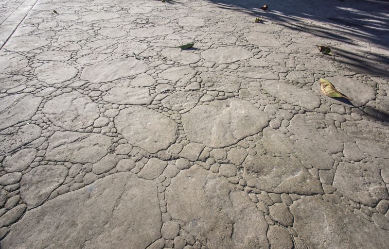 Decorative Concrete Repair in Castle Rock, CO
