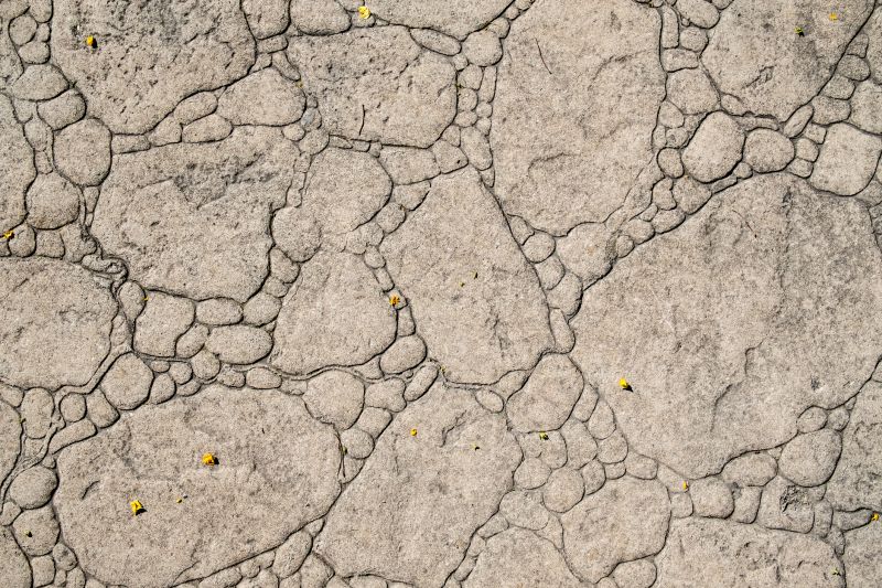 Decorative Concrete Repair in Greenville, SC